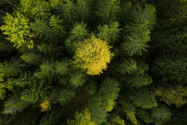 Geringe CO2-Emissionen